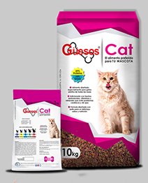 Guesos Cat